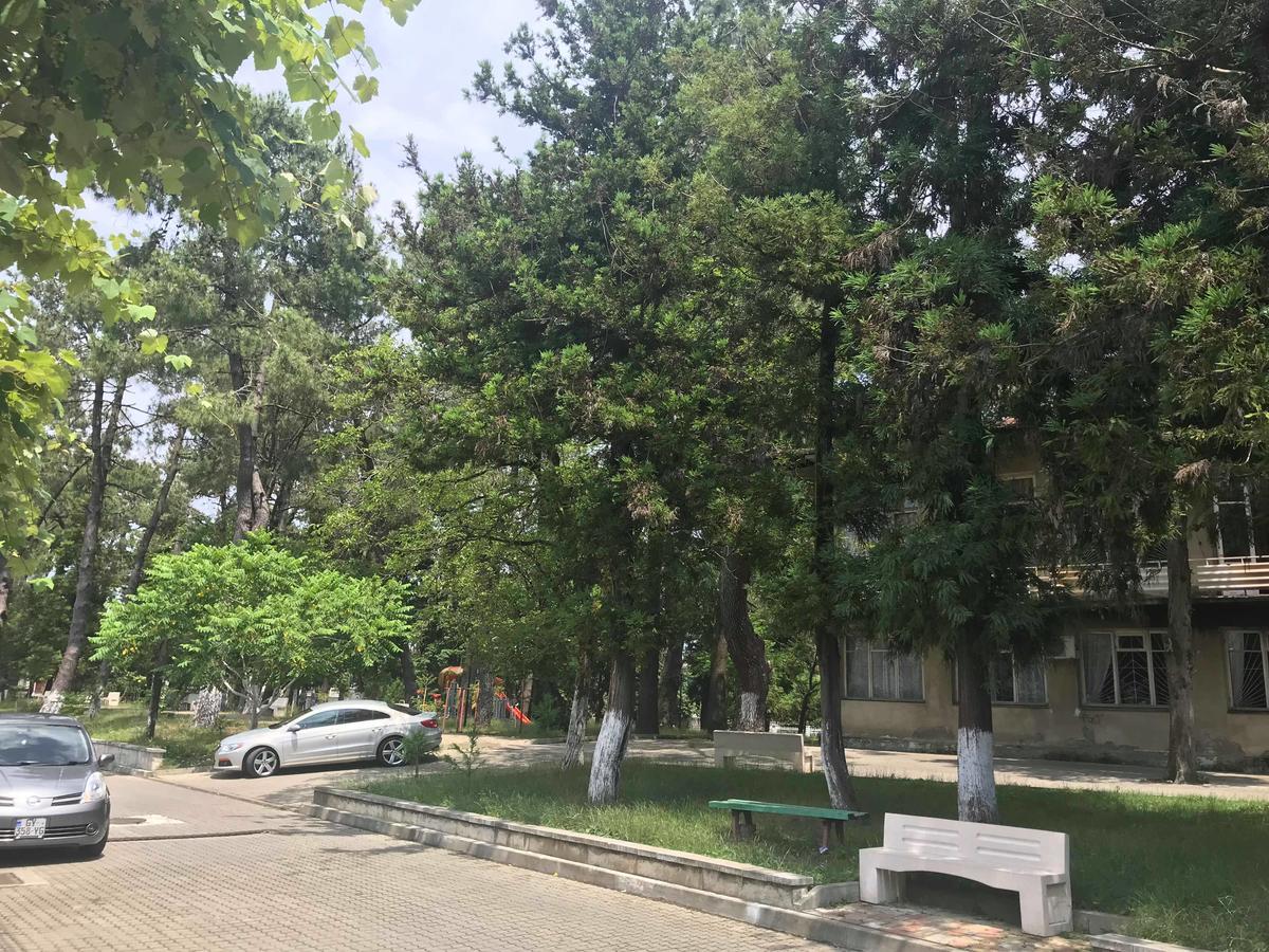 Anna Hostel Kobuleti Exteriör bild