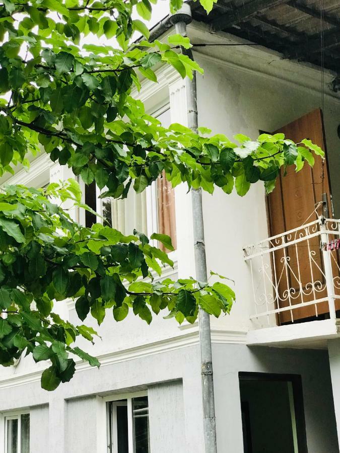 Anna Hostel Kobuleti Exteriör bild
